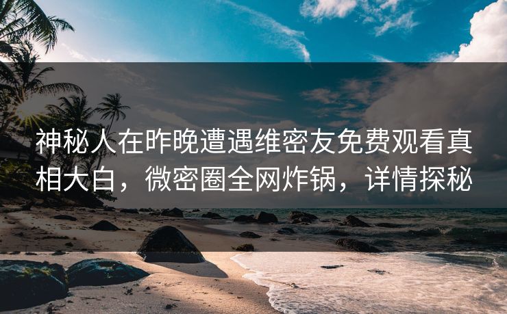 神秘人在昨晚遭遇维密友免费观看真相大白，微密圈全网炸锅，详情探秘