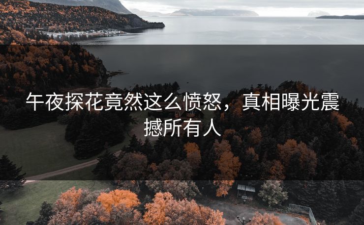 午夜探花竟然这么愤怒，真相曝光震撼所有人