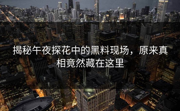 揭秘午夜探花中的黑料现场，原来真相竟然藏在这里
