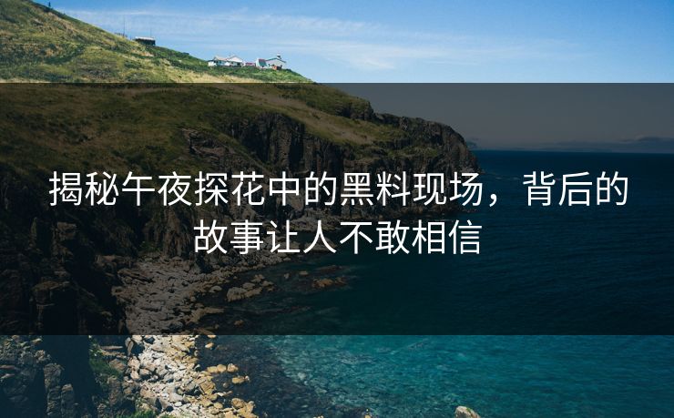 揭秘午夜探花中的黑料现场，背后的故事让人不敢相信