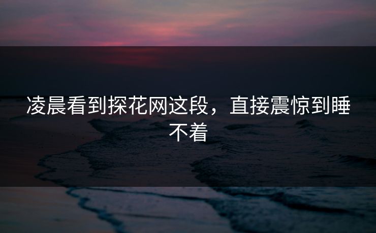 凌晨看到探花网这段，直接震惊到睡不着