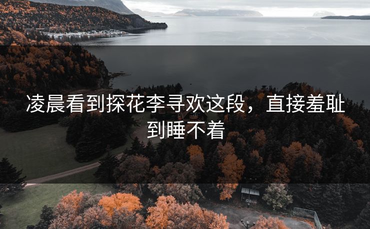 凌晨看到探花李寻欢这段，直接羞耻到睡不着