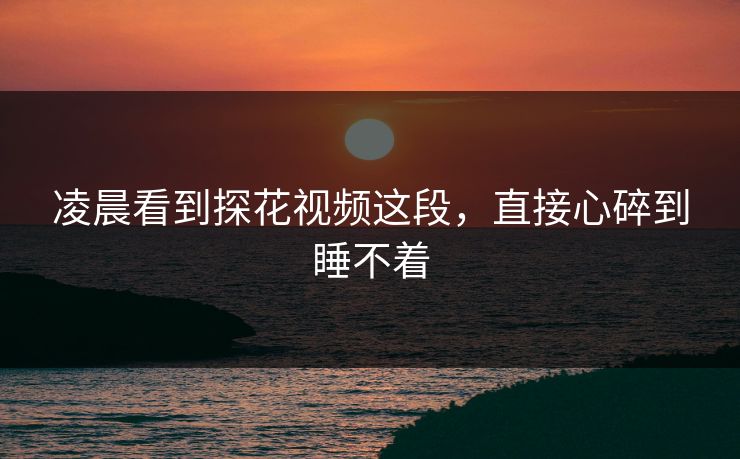 凌晨看到探花视频这段，直接心碎到睡不着