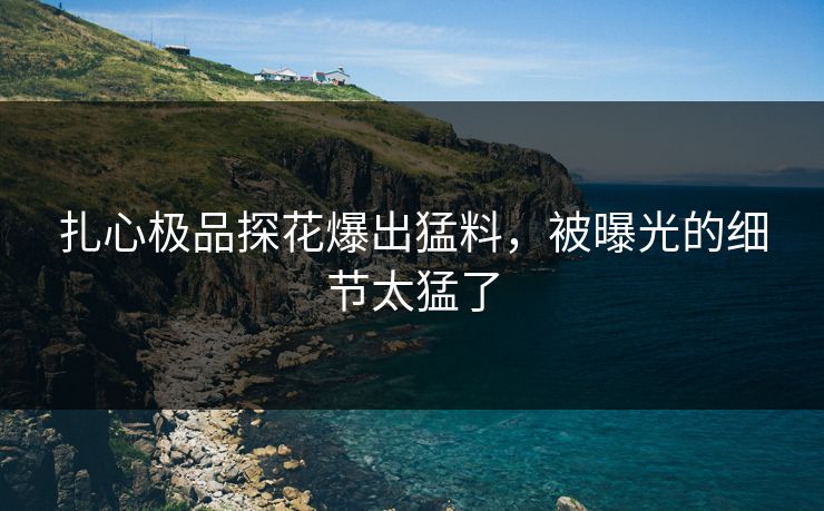 扎心极品探花爆出猛料，被曝光的细节太猛了