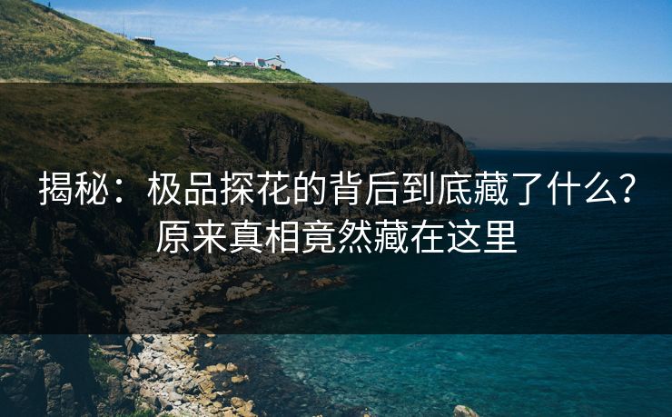 揭秘：极品探花的背后到底藏了什么？原来真相竟然藏在这里