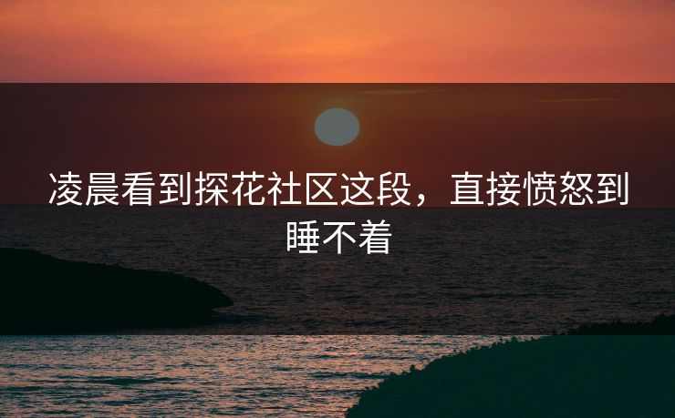 凌晨看到探花社区这段，直接愤怒到睡不着