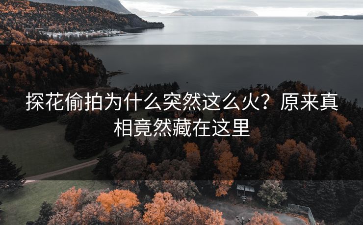 探花偷拍为什么突然这么火？原来真相竟然藏在这里