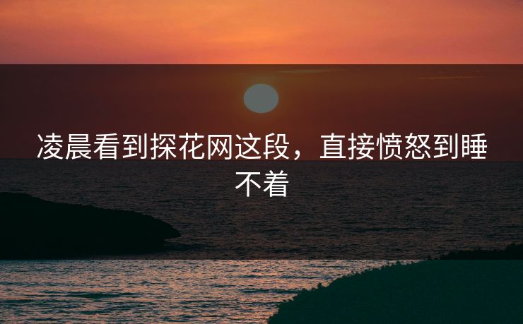 凌晨看到探花网这段，直接愤怒到睡不着