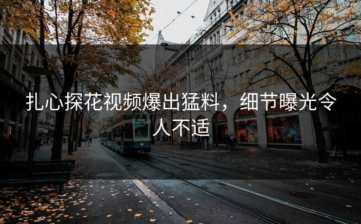 扎心探花视频爆出猛料，细节曝光令人不适