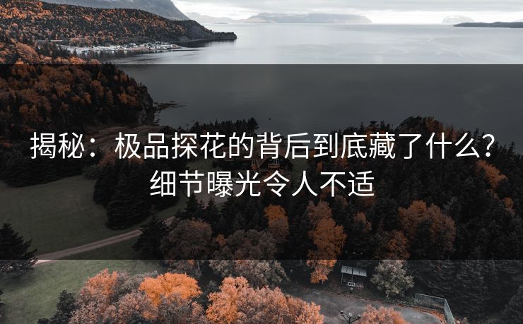 揭秘：极品探花的背后到底藏了什么？细节曝光令人不适
