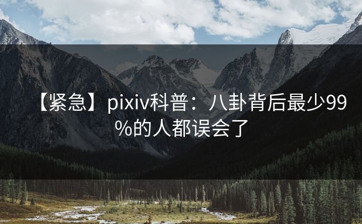 【紧急】pixiv科普：八卦背后最少99%的人都误会了