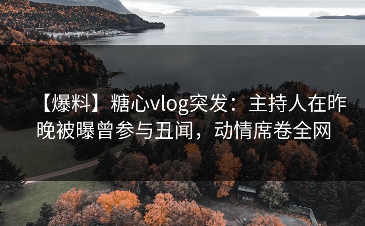 【爆料】糖心vlog突发：主持人在昨晚被曝曾参与丑闻，动情席卷全网