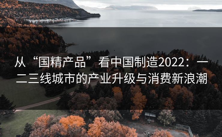 从“国精产品”看中国制造2022：一二三线城市的产业升级与消费新浪潮