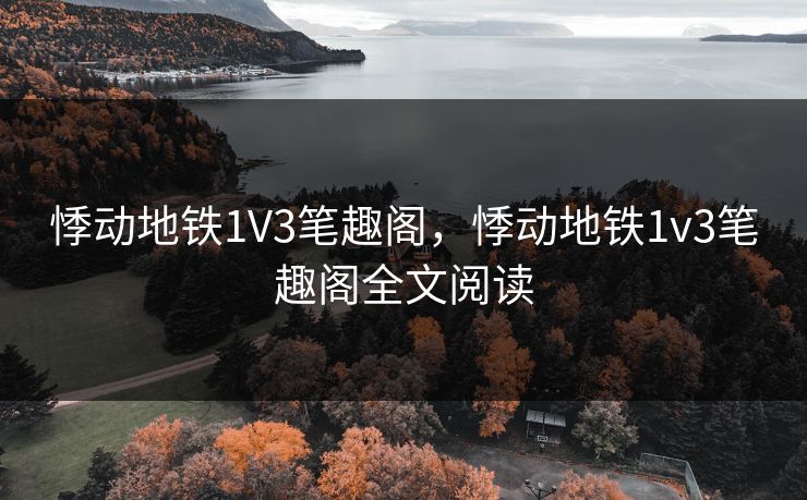 悸动地铁1V3笔趣阁，悸动地铁1v3笔趣阁全文阅读