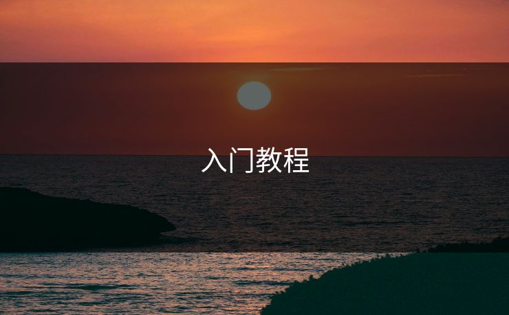 入门教程